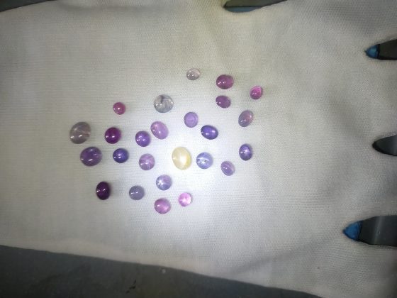 25 Unheated Vivid Star Sapphire - Cabochon - 35.90 ct - COR authenticated