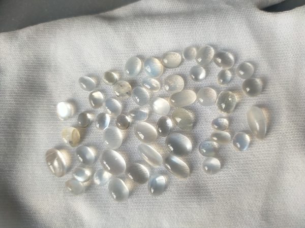 Unheated Rainbow Moonstone Lot - Cabochon - 63.75 ct - COR authenticated