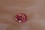 Vivid red pink sapphire, unheated, GIA certified 3.49 ct