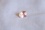 Padparadscha Sapphire, premium cut, GIA certified 1.14 ct