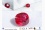 Ruby Vivid Red, unheated, minor flaw, GIA certified 0.76 ct