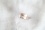 Pastel Orange Pink Sapphire, GIA certified 1.16 ct