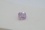 Pastel Pink, handcrafted Ceylon Sapphire,GIA 1.83 ct