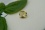 Lemon Yellow Sapphire, handcrafted cut 1.10 ct