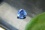 PREMIUM: Cornflower Blue Sapphire, GIA certified 2.05 ct