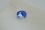 PREMIUM: Neon Cornflower Blue Sapphire 2.18 ct