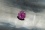 Vivid orangish-Violet Sapphire 1.20 ct