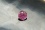 PREMIUM: Vivid Orange Pink Sapphire, GIA certified 2.05 ct