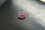 PREMIUM: Vivid Pastel Pink Sapphire 1.24 ct