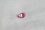 Genuine vivid pink Sapphire| GIA 0.74 ct