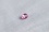 Genuine vivid pink Sapphire| GIA 0.56 ct