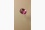 purplish pink Sapphire/Ruby, GIA certified 0.65 ct