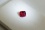 PREMIUM: Vivid Red Rubellite, designer cut 1 ct