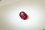 PREMIUM: Vivid Red Rubellite, handcrafted 0.70 ct