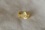 Vivid Yellow Sapphire, unheated, fine cut, GIA certified 2.03 ct