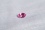 Hot Pink Sapphire,unheated, Ceylon GIA certified 0.68 ct