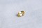 Yellow Sapphire - Cushion - 0.75 ct. - IGL