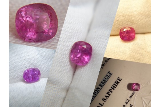 Bi-Color Hot Pink Sapphire - Cushion - 1.48 ct. - IGL