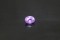 Pink Sapphire - Oval - 1.01 ct. - COR