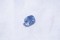 Vivid Blue Sapphire - Cushion - 1.71 ct. - AGL