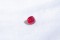 Ruby Vivid Red - Cushion - 0.76 ct. - IGL