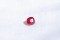 Ruby Vivid Red - Cushion - 0.76 ct. - IGL