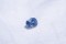 Vivid Blue Sapphire - Cushion - 1.7 ct. - AGL