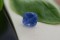 Velvet Blue Sapphire - Cushion - 4.55 ct. - COR