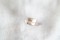 Pastel Orange-Pink Sapphire - Cushion - 1.16 ct. - COR