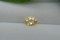 Vivid Lemon Yellow Sapphire - Cushion - 1.2 ct. - COR