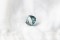 Blue-Green Sapphire - Cushion - 1.85 ct. - COR