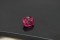 Tourmaline - Cushion - 1.8 ct. - COR