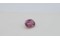 red-pink Sapphire - Oval - 1.48 ct. - COR