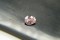 pinkish-Orange Sapphire - Oval - 1.2 ct. - COR