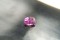 purplish-Pink/Violet Sapphire - Oval - 1.3 ct. - COR