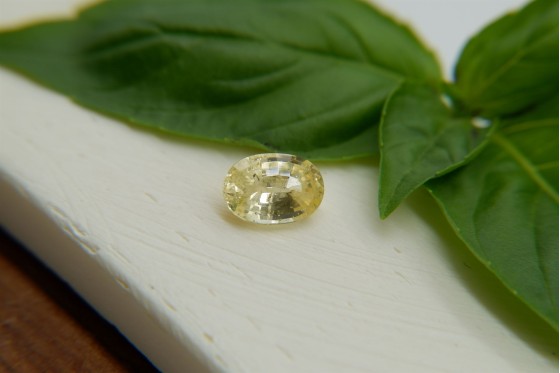 Lemon Yellow Sapphire - Oval - 1.5 ct. - COR