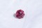 Tourmaline - Octagon - 1.95 ct. - COR