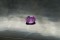 Violet Pink Sapphire - Oval - 1.2 ct. - COR