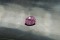 purplish-Violet Sapphire - Oval - 1 ct. - COR