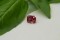 pinkish-Orange Sapphire - Rectangular - 1.15 ct. - COR