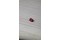 Ruby Blood Red - Oval - 0.1 ct. - COR