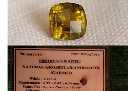 RARE: Green Grossular Andradite Garnet - Cushion - 1.54 ct. - IGL