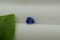 Cornflower Blue Sapphire - Cabochon - 0.8 ct. - COR