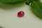 Ruby Purplish Red - Oval - 1.05 ct. - COR