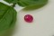 Ruby Purplish Red - Oval - 1.05 ct. - COR