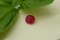 Ruby Purplish Red - Cushion - 1 ct. - COR