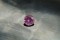 APPRAISED PREMIUM: Vivid Pastel Pink Sapphire - Round - 1.21 ct. - IGL