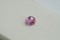 APPRAISED PREMIUM: Vivid Padparadscha Sapphire - Oval - 1.04 ct. - AGL