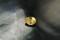 PREMIUM: Vivid intense Yellow Sapphire - Oval - 1.2 ct. - COR