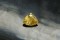 PREMIUM: Vivid intense Yellow Sapphire - Triangular - 2.4 ct. - AGL